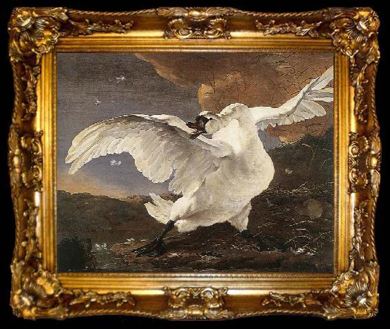 framed  ASSELYN, Jan The Threatened Swan before 1652, ta009-2